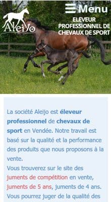 Création d&apos;un site internet responsive éléveur de chevaux