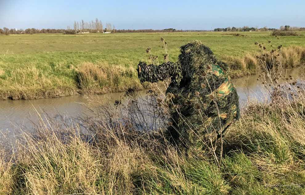 Technique de camouflage pendant le stage photo animalière