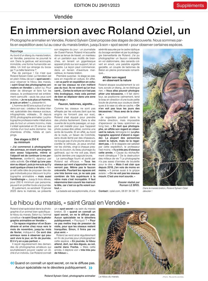 Mes stages de photographie animalière sur Ouest France